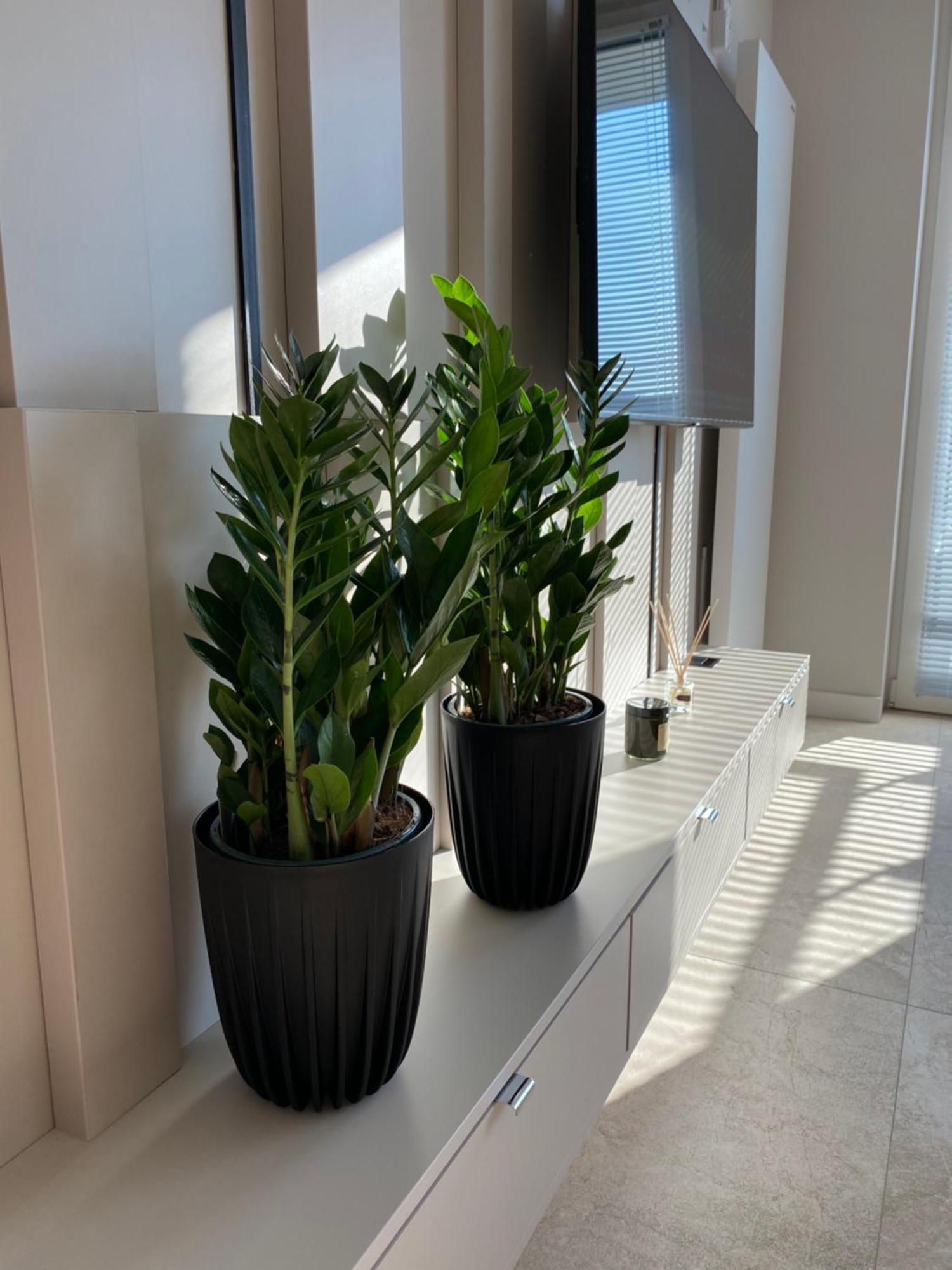 Apartment Deluxe Pilsudskiego Nowy Sacz